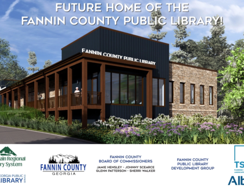 Fannin County Public Library in Blue Ridge